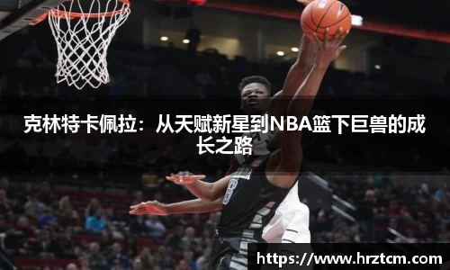 克林特卡佩拉：从天赋新星到NBA篮下巨兽的成长之路
